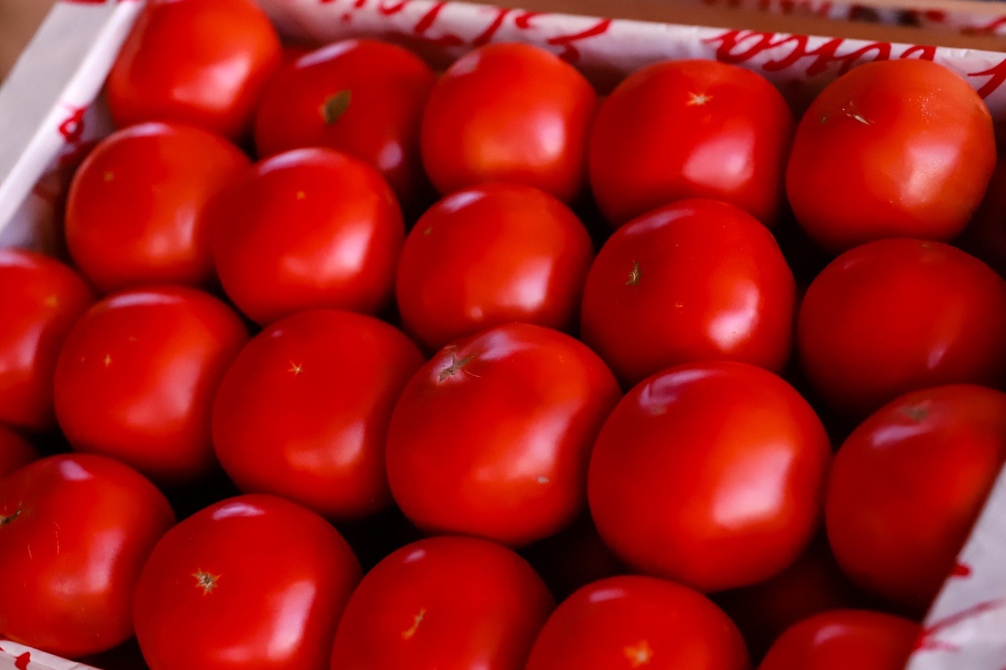 CIUDAD: Feria y Mercado de Abasto: precios actualizados de productos saludables